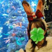 りいさ 初めまして🎀 世界のあんぷり亭 錦糸町店