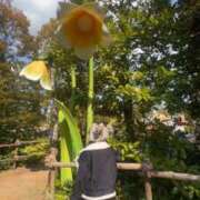 ヒメ日記 2026/02/23 12:12 投稿 ひな コスプレ女帝織姫