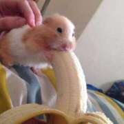 ヒメ日記 2026/01/05 22:05 投稿 きさらぎ すぐ舐めたくて学園立川校〜舐めたくてグループ〜