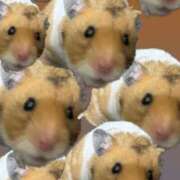 ヒメ日記 2026/01/09 23:45 投稿 きさらぎ すぐ舐めたくて学園立川校〜舐めたくてグループ〜