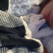 ヒメ日記 2026/01/13 19:45 投稿 きさらぎ すぐ舐めたくて学園立川校〜舐めたくてグループ〜