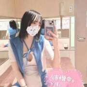 つばき まだ… マネキン 名駅店