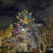 ヒメ日記 2025/12/23 19:54 投稿 きらぼしそら にゃんだ☆full☆MIX（にゃんだふるみっくす）