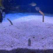 ヒメ日記 2026/03/31 18:27 投稿 ゆず 人妻熟女の秘密の関係伊勢崎店