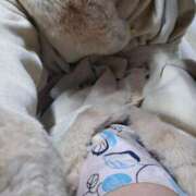 ヒメ日記 2025/12/23 19:17 投稿 ちとせ Second Love（セカンドラブ）