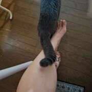 ヒメ日記 2026/01/11 17:06 投稿 ちとせ Second Love（セカンドラブ）