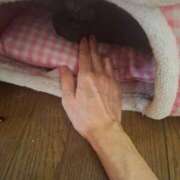 ヒメ日記 2026/01/26 14:28 投稿 ちとせ Second Love（セカンドラブ）