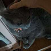 ヒメ日記 2026/02/10 22:49 投稿 ちとせ Second Love（セカンドラブ）