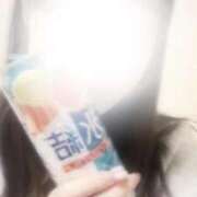 まいん 出勤予定✨️ 奥様特急新潟店