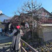 ヒメ日記 2026/03/18 20:59 投稿 あきの 麗しい人妻 新宿本店