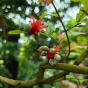 ヒメ日記 2026/04/20 09:29 投稿 あきの 麗しい人妻 新宿本店