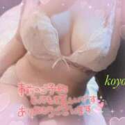 ヒメ日記 2026/01/18 13:49 投稿 こよみ ぷるるん小町梅田店