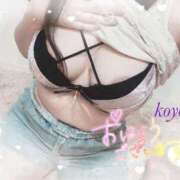 ヒメ日記 2026/01/24 10:41 投稿 こよみ ぷるるん小町梅田店