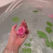 ヒメ日記 2026/02/22 14:58 投稿 愛原るりか ウルトラロイヤル