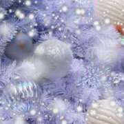 ヒメ日記 2025/12/23 00:56 投稿 泉 OL物語