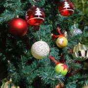 ヒメ日記 2025/12/23 00:27 投稿 南 OL物語