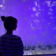 ヒメ日記 2026/03/06 00:00 投稿 えま しごくなエステ