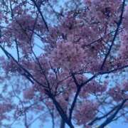 ヒメ日記 2026/03/06 01:20 投稿 えま しごくなエステ