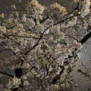 ヒメ日記 2026/03/13 22:30 投稿 えま しごくなエステ