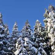 ヒメ日記 2025/12/27 00:57 投稿 花寿葉 OL物語