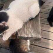 ヒメ日記 2025/12/27 22:00 投稿 檸檬-れもん- 人妻倶楽部 花椿大崎店