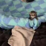 ヒメ日記 2025/12/28 11:20 投稿 檸檬-れもん- 人妻倶楽部 花椿大崎店