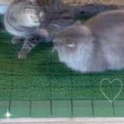 ヒメ日記 2025/12/28 18:30 投稿 檸檬-れもん- 人妻倶楽部 花椿大崎店