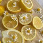 ヒメ日記 2025/12/29 16:16 投稿 檸檬-れもん- 人妻倶楽部 花椿大崎店