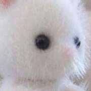 ヒメ日記 2026/01/24 21:24 投稿 檸檬-れもん- 人妻倶楽部 花椿大崎店