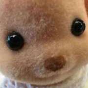 ヒメ日記 2026/01/25 23:20 投稿 檸檬-れもん- 人妻倶楽部 花椿大崎店