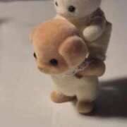 ヒメ日記 2026/01/26 17:50 投稿 檸檬-れもん- 人妻倶楽部 花椿大崎店