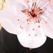 ヒメ日記 2026/03/09 16:04 投稿 海野ゆりこ 手コキ研修塾