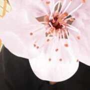 ヒメ日記 2026/04/05 17:44 投稿 海野ゆりこ 手コキ研修塾