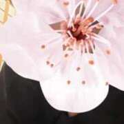 海野ゆりこ 次の出勤っ 手コキ研修塾