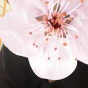 ヒメ日記 2026/04/19 04:34 投稿 海野ゆりこ 手コキ研修塾