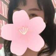 ヒメ日記 2026/07/11 14:34 投稿 海野ゆりこ 手コキ研修塾