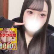 ヒメ日記 2026/10/10 09:33 投稿 ひめな 水戸人妻花壇