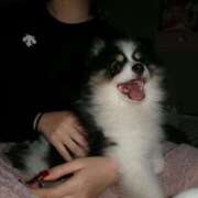 ヒメ日記 2026/02/21 22:59 投稿 てぃな【ハーフ激カワ美女】 STELLA TOKYO－ステラトウキョウ－