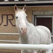 ヒメ日記 2026/01/03 20:12 投稿 りりあ 沼津人妻花壇