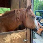 ヒメ日記 2026/01/08 22:14 投稿 りりあ 沼津人妻花壇