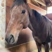 ヒメ日記 2026/01/20 21:13 投稿 りりあ 沼津人妻花壇