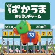 ヒメ日記 2026/03/06 00:46 投稿 りりあ 沼津人妻花壇