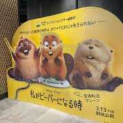 ヒメ日記 2026/03/20 22:27 投稿 りりあ 沼津人妻花壇