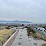 ヒメ日記 2026/03/24 12:17 投稿 りりあ 沼津人妻花壇