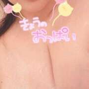 ヒメ日記 2026/03/26 12:54 投稿 りりあ 沼津人妻花壇