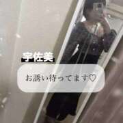 ヒメ日記 2025/12/22 18:32 投稿 宇佐美-うさみ- ただ離婚してないだけ堺東店