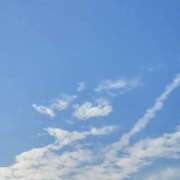 和 お題写メ 渋谷人妻城