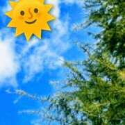 ヒメ日記 2026/04/18 15:03 投稿 和 渋谷人妻城