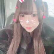 ヒメ日記 2026/03/14 09:40 投稿 こあい デザインプリズム新宿