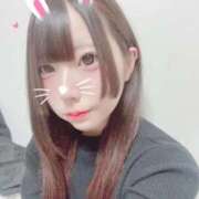 こあい いるよー！ デザインプリズム新宿